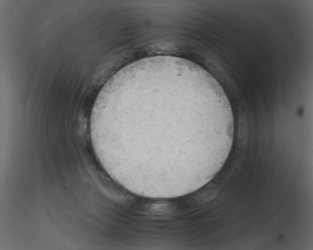 X0000115680173200912241448