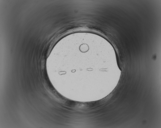 X0000115680174200912241448