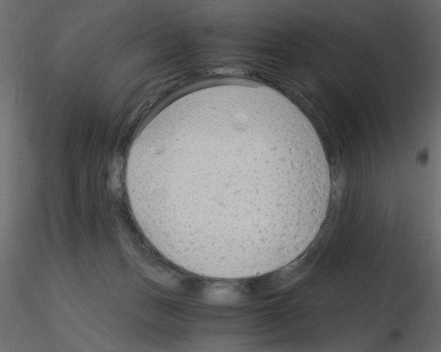 X0000115680175200912241448