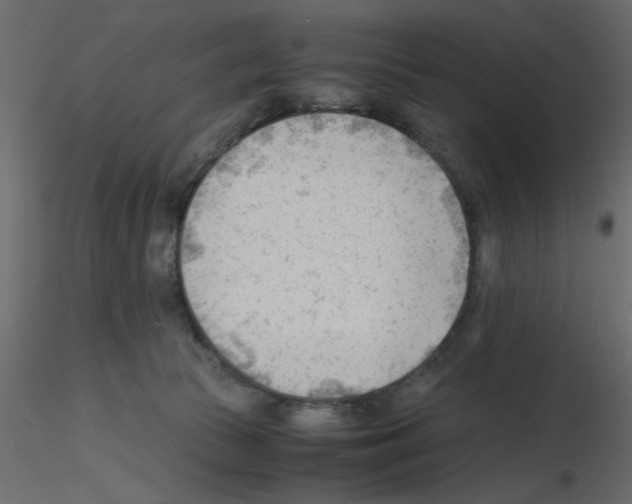 X0000115680177200912241448