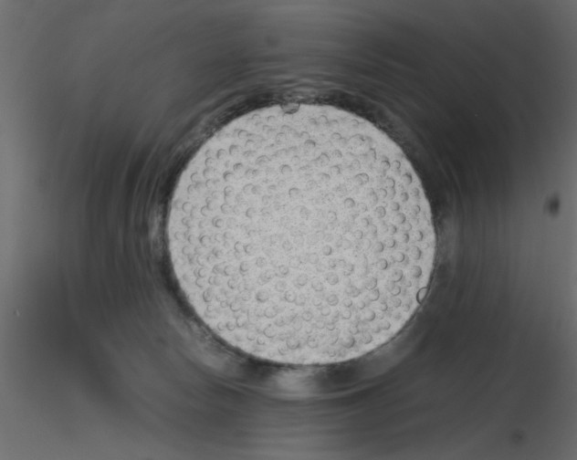 X0000115680178200912241448