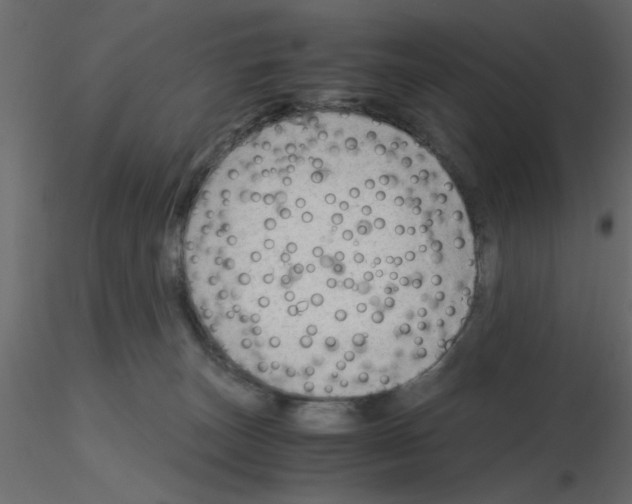 X0000115680179200912241448