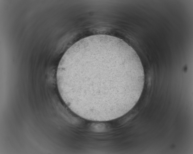 X0000115680181200912241448