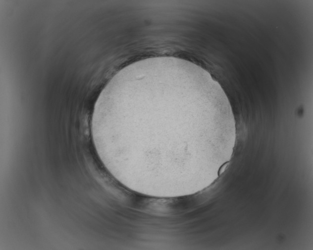 X0000115680182200912241448