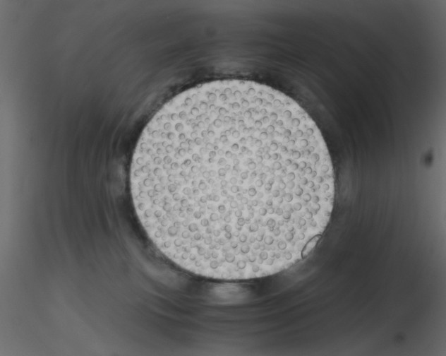 X0000115680183200912241448