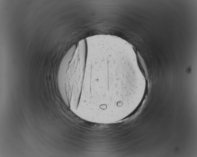 X0000115680186200912241448