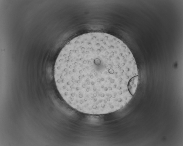 X0000115680187200912241448