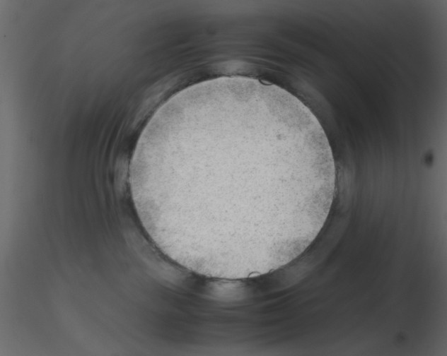 X0000115680189200912241448