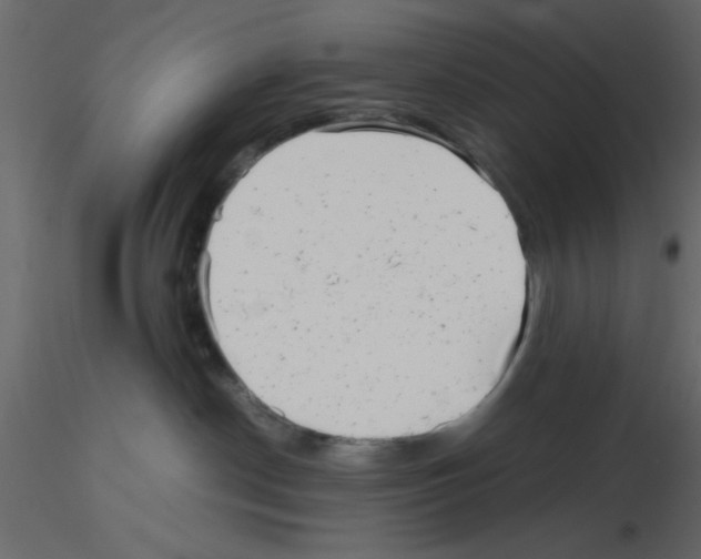 X0000115680190200912241448