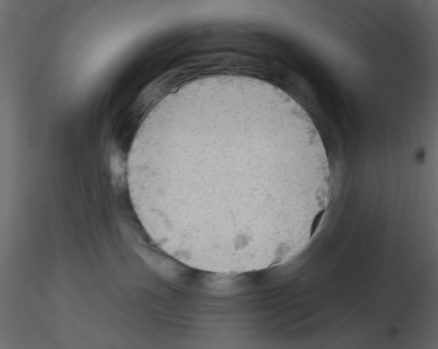 X0000115680191200912241448