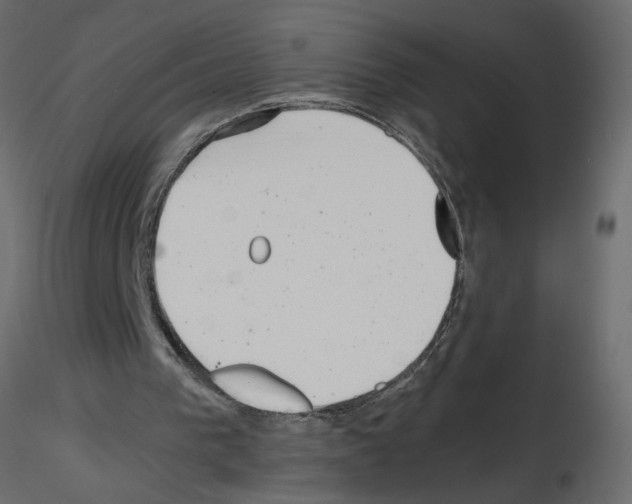 X0000115680193200912241448