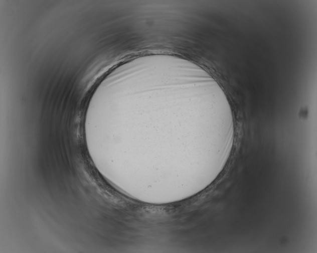 X0000115680194200912241448