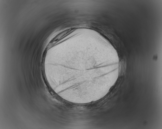 X0000115680195200912241448
