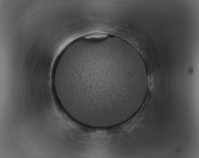 X0000115680196200912241448
