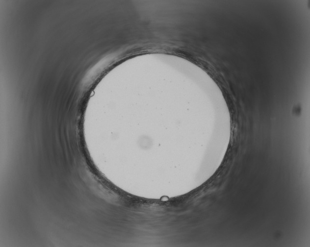 X0000115680197200912241447