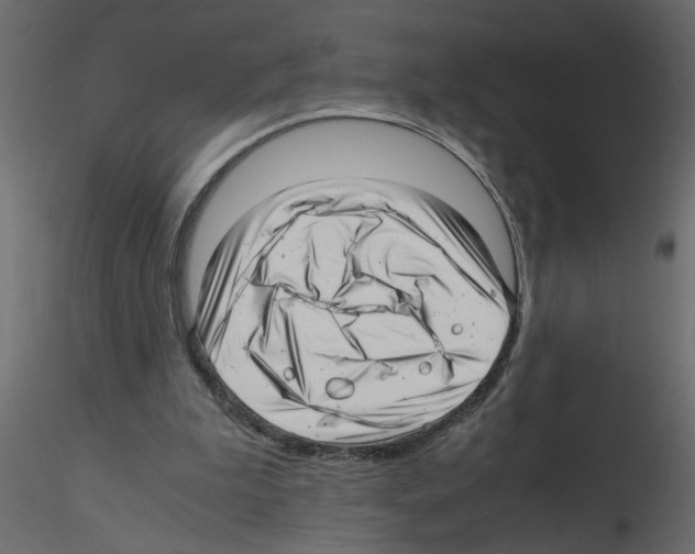 X0000115680199200912241447