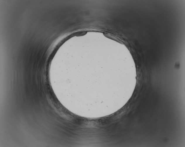 X0000115680200200912241447