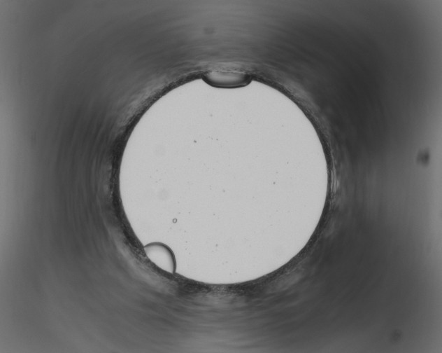X0000115680201200912241447