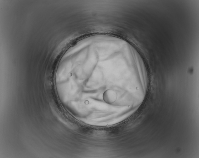X0000115680203200912241447