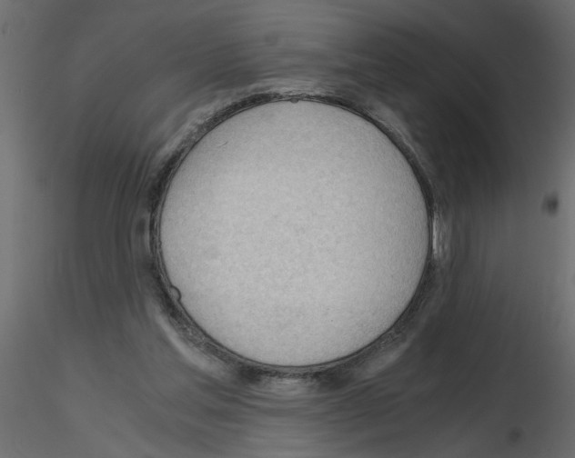 X0000115680205200912241447