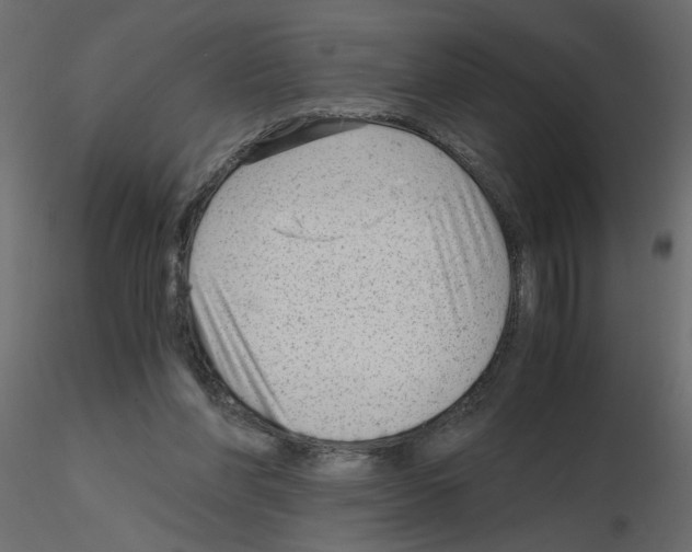 X0000115680206200912241447