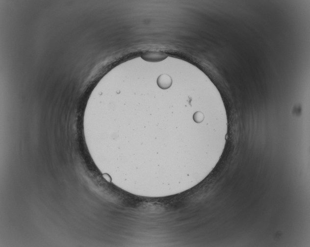 X0000115680207200912241447