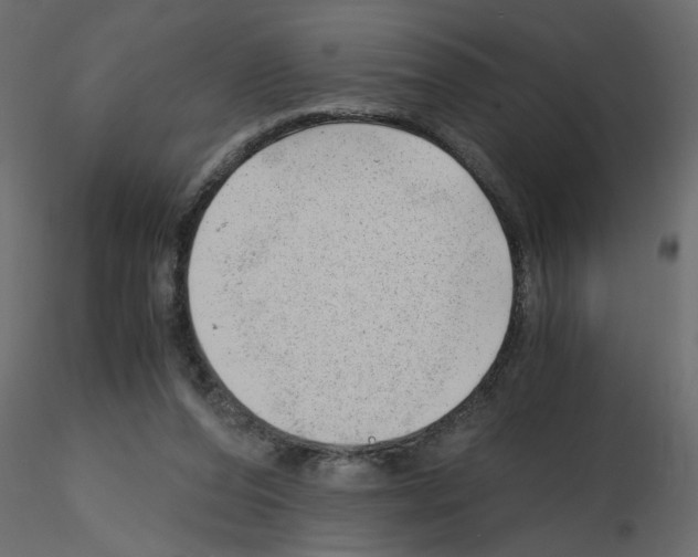 X0000115680208200912241447