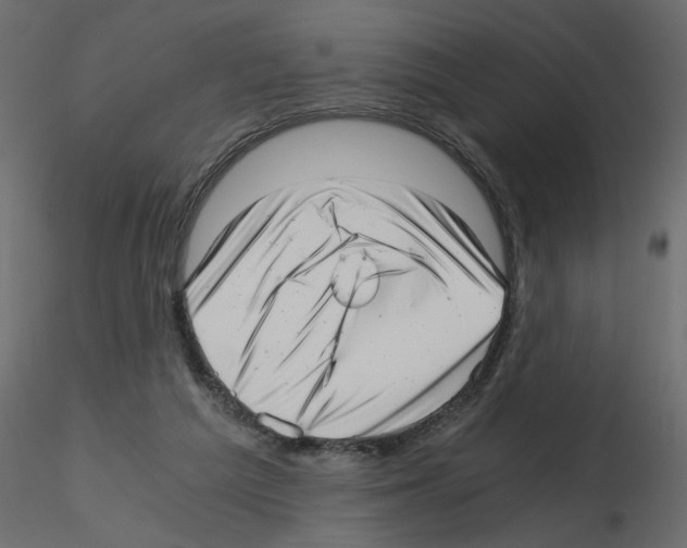 X0000115680209200912241447