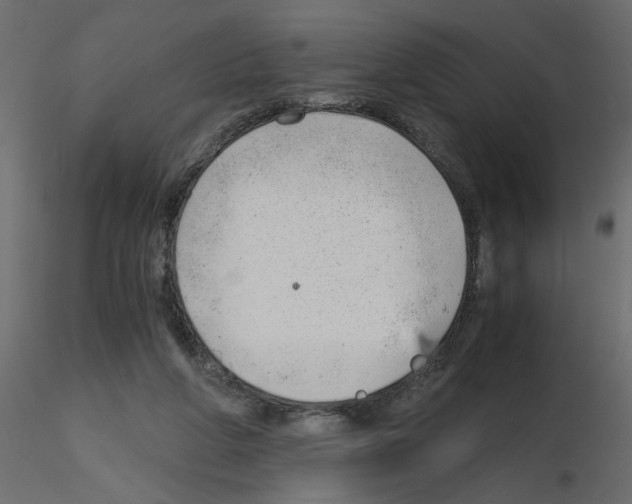 X0000115680210200912241447