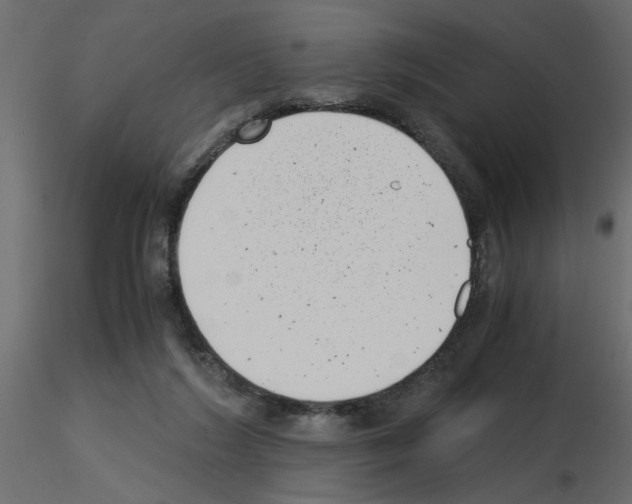 X0000115680212200912241447