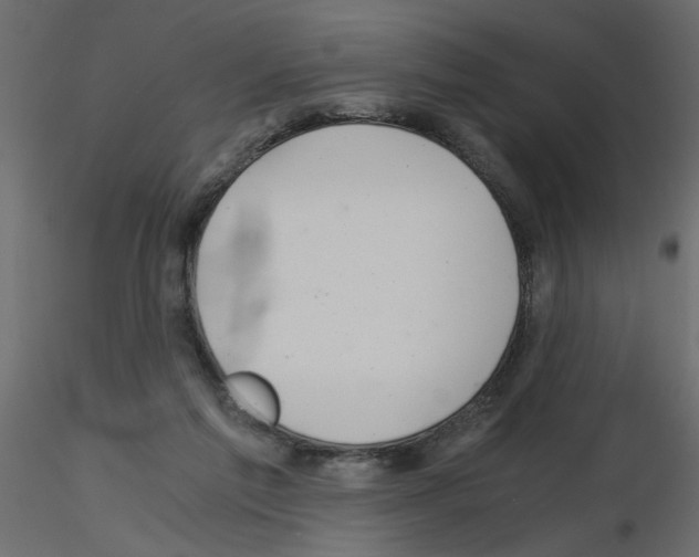 X0000115680213200912241447