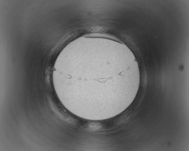 X0000115680214200912241447