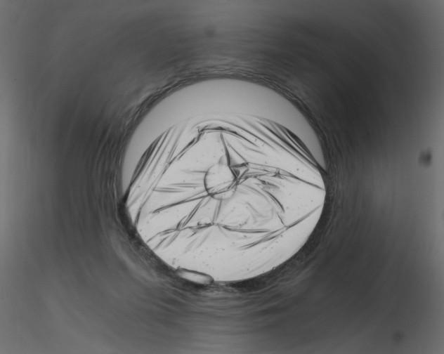 X0000115680215200912241447