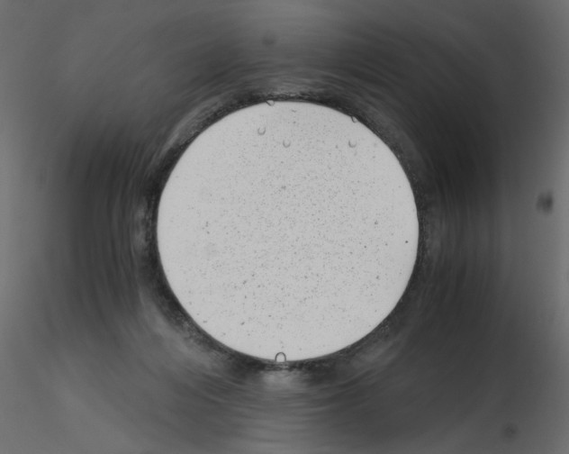 X0000115680216200912241447