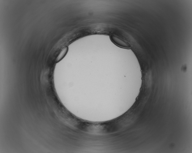 X0000115680217200912241447