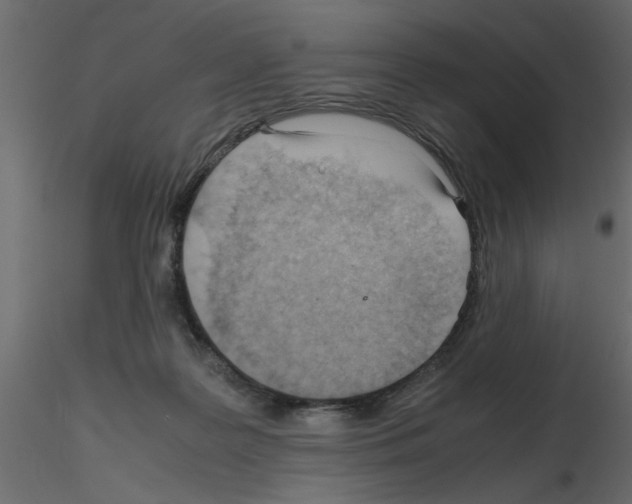 X0000115680219200912241447