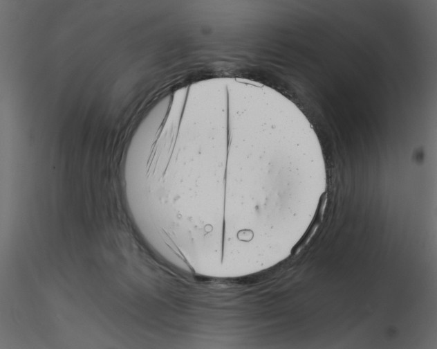 X0000115680221200912241447