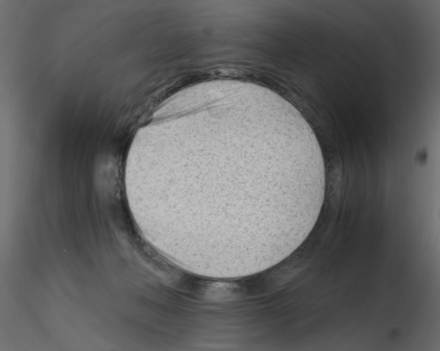 X0000115680222200912241447