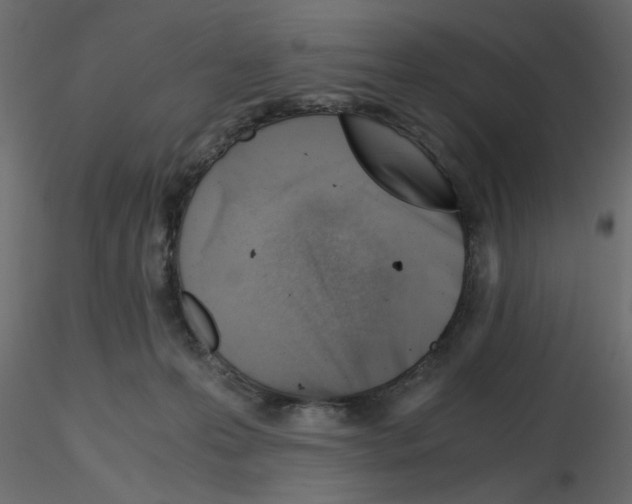 X0000115680223200912241447