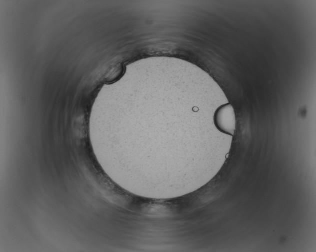 X0000115680224200912241447