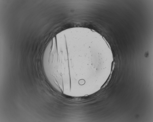 X0000115680225200912241447