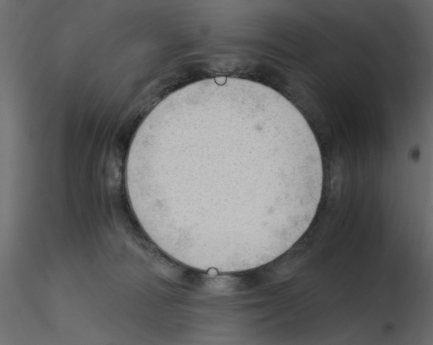 X0000115680226200912241447