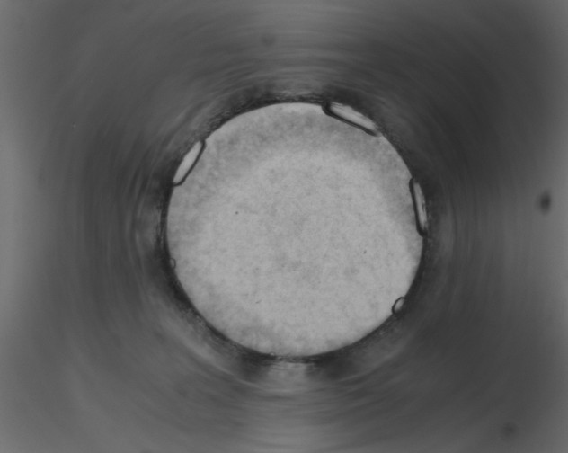 X0000115680227200912241447