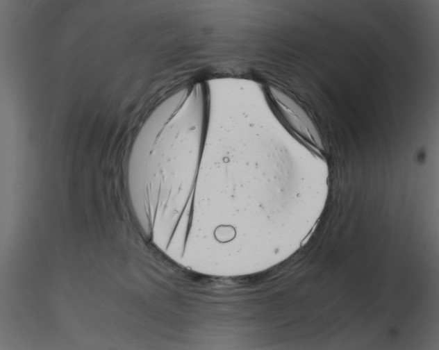 X0000115680229200912241447