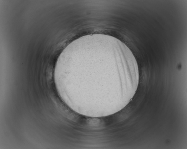 X0000115680230200912241447