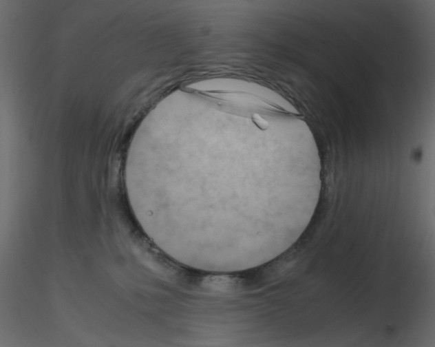 X0000115680231200912241447