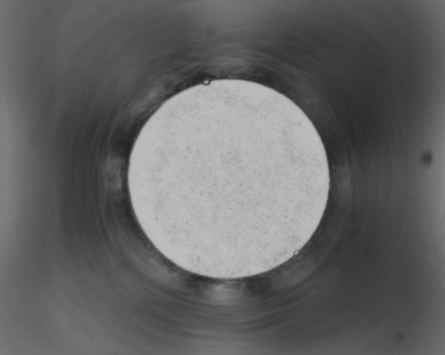 X0000115680232200912241447