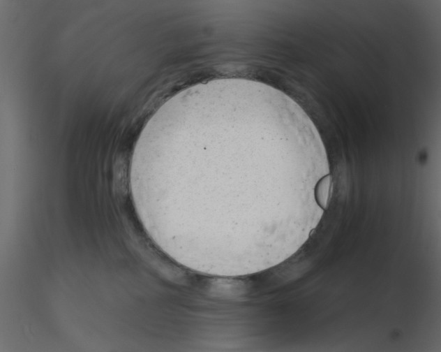 X0000115680234200912241447