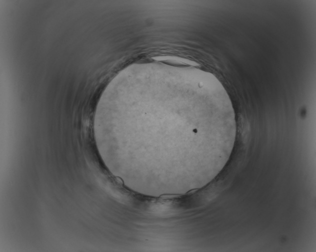 X0000115680235200912241447