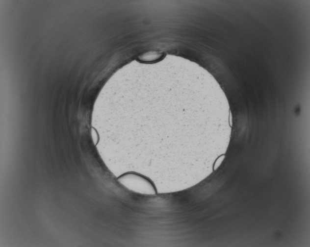 X0000115680236200912241447